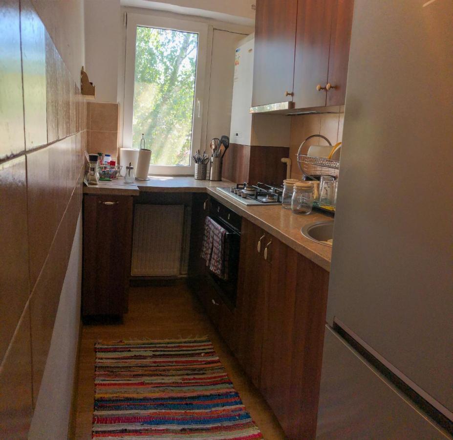 Cozy Apartment Bukovina סוסאבה מראה חיצוני תמונה